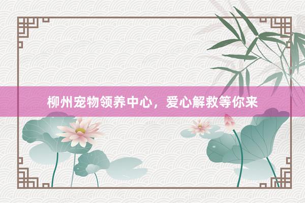 柳州宠物领养中心，爱心解救等你来